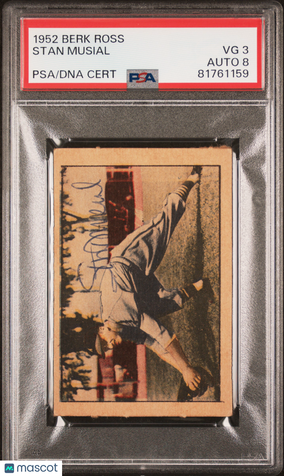 1952 Berk Ross Stan Musial PSA 3 Auto 8