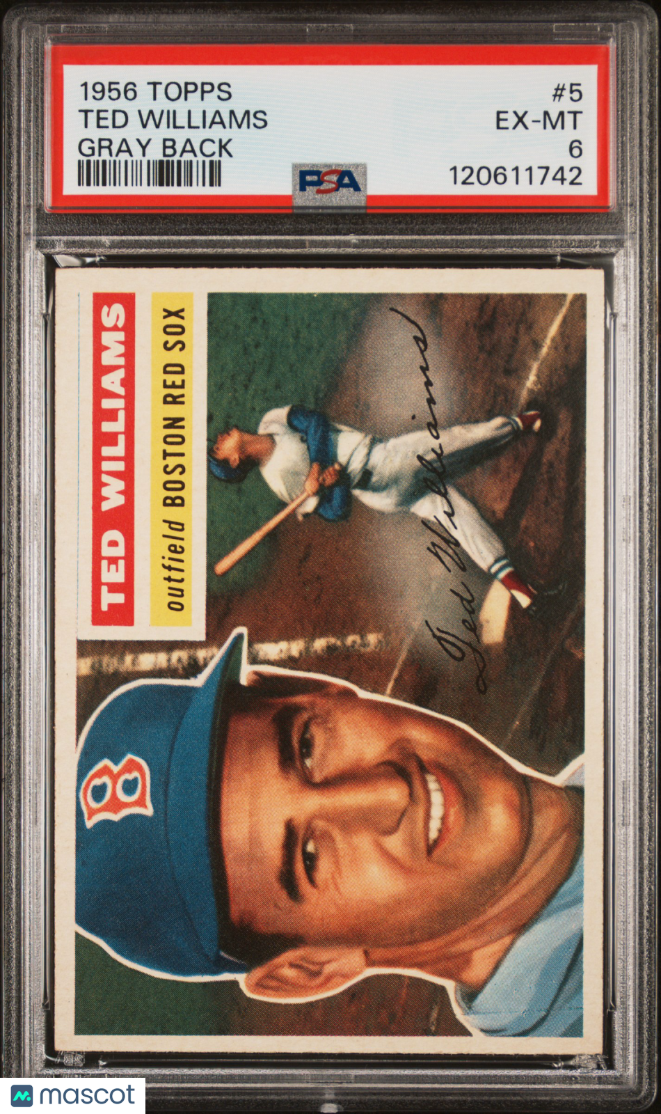 1956 Topps Ted Williams #5 Gray Back PSA 6