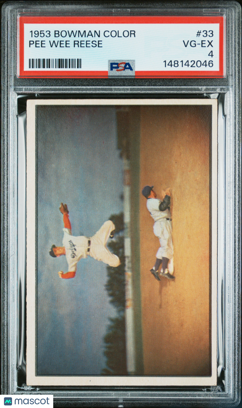 1953 Bowman Color Pee Wee Reese #33 PSA 4