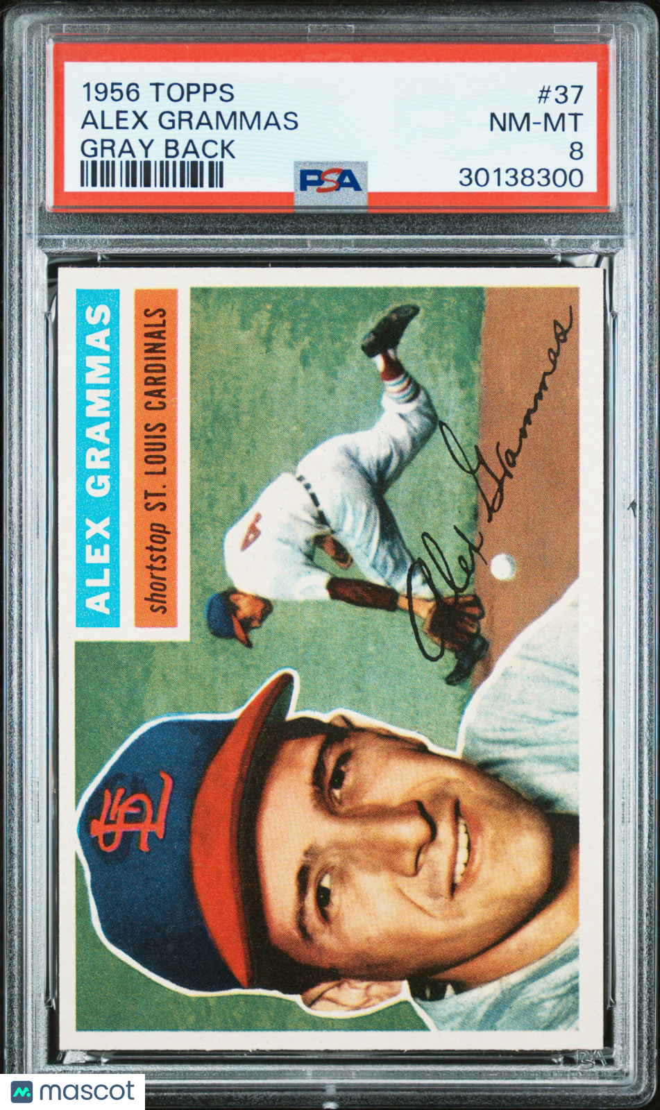 1956 Topps Alex Grammas #37 Gray Back PSA 8